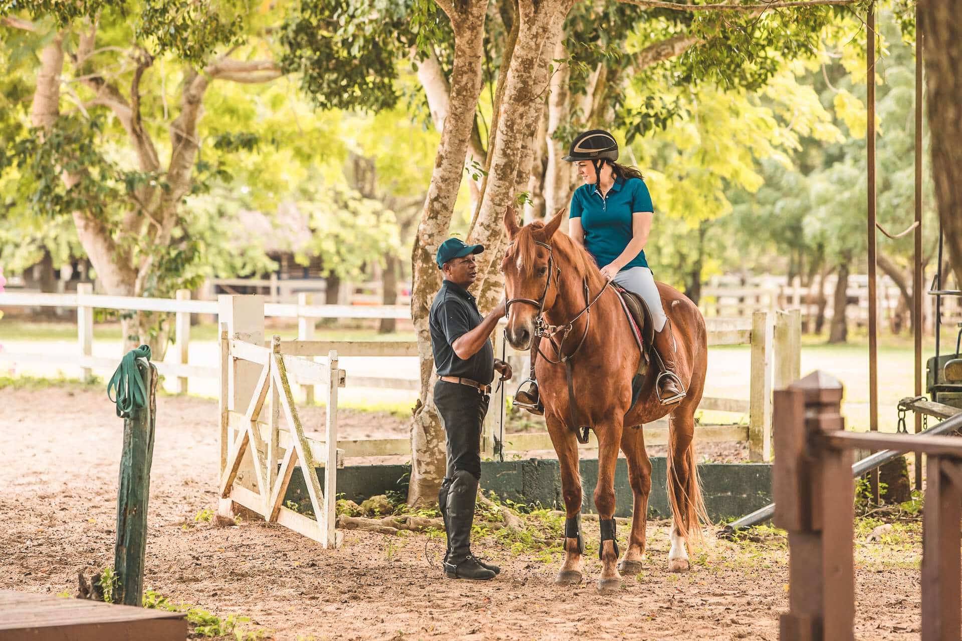 horseback-equestrian