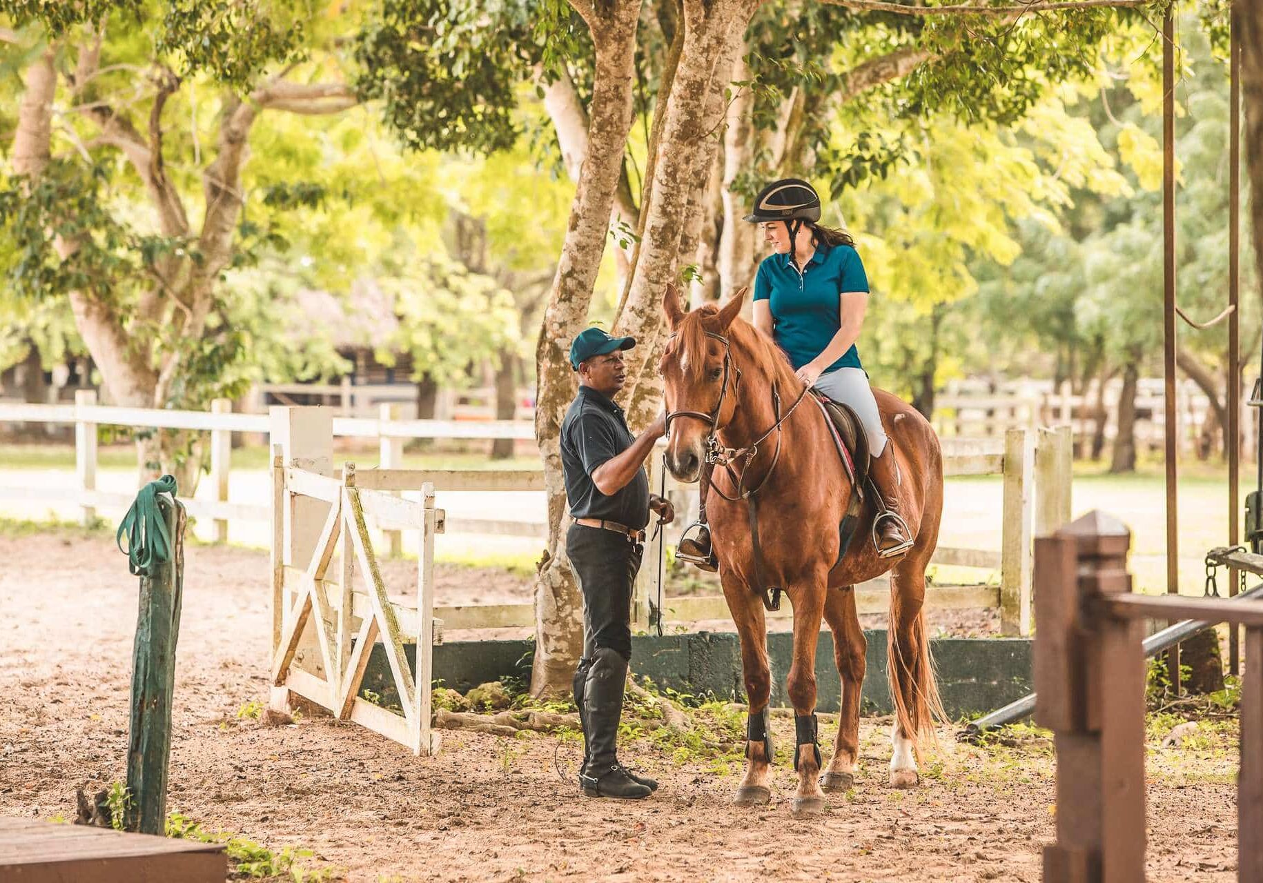 horseback-equestrian